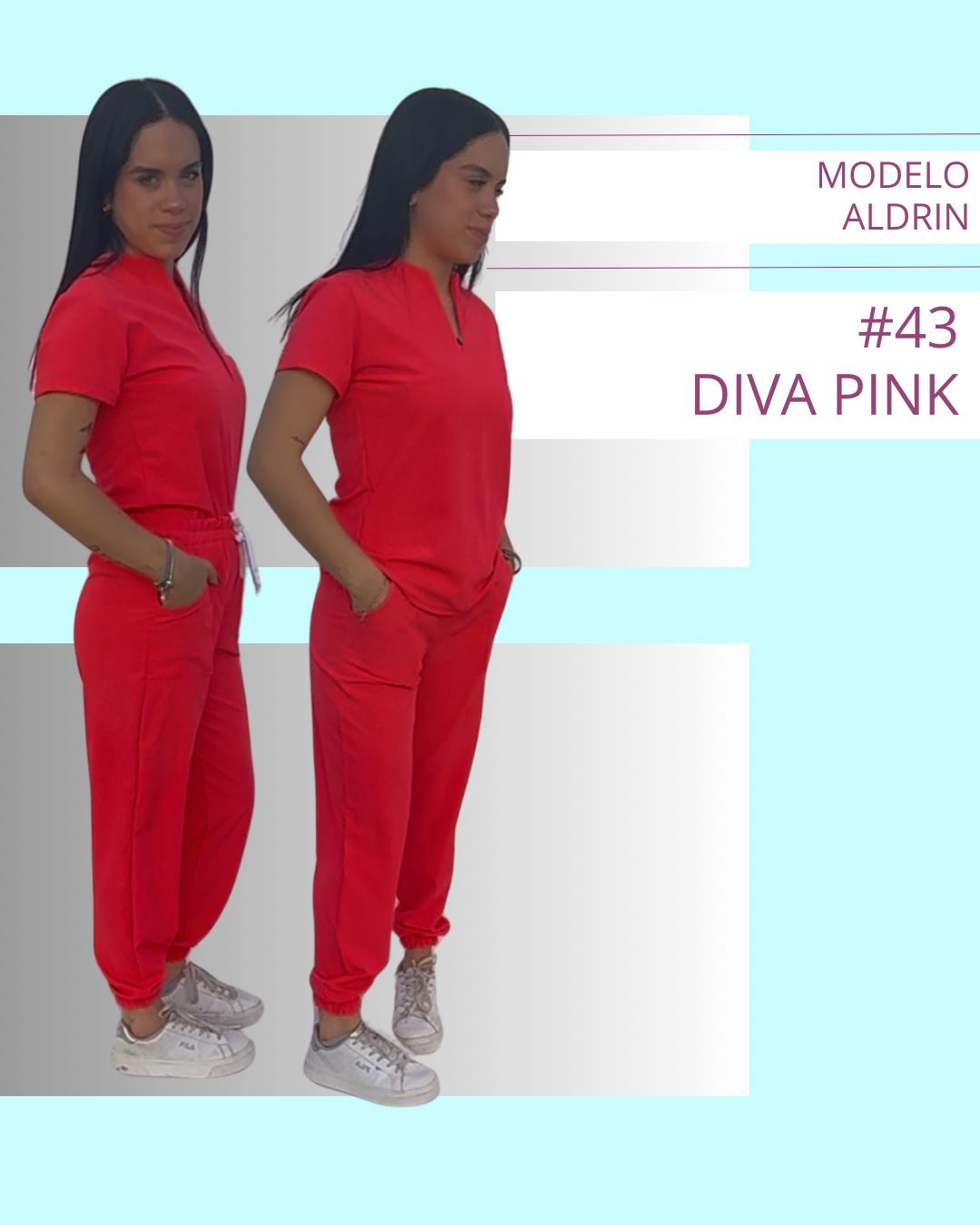 modelo aldrin